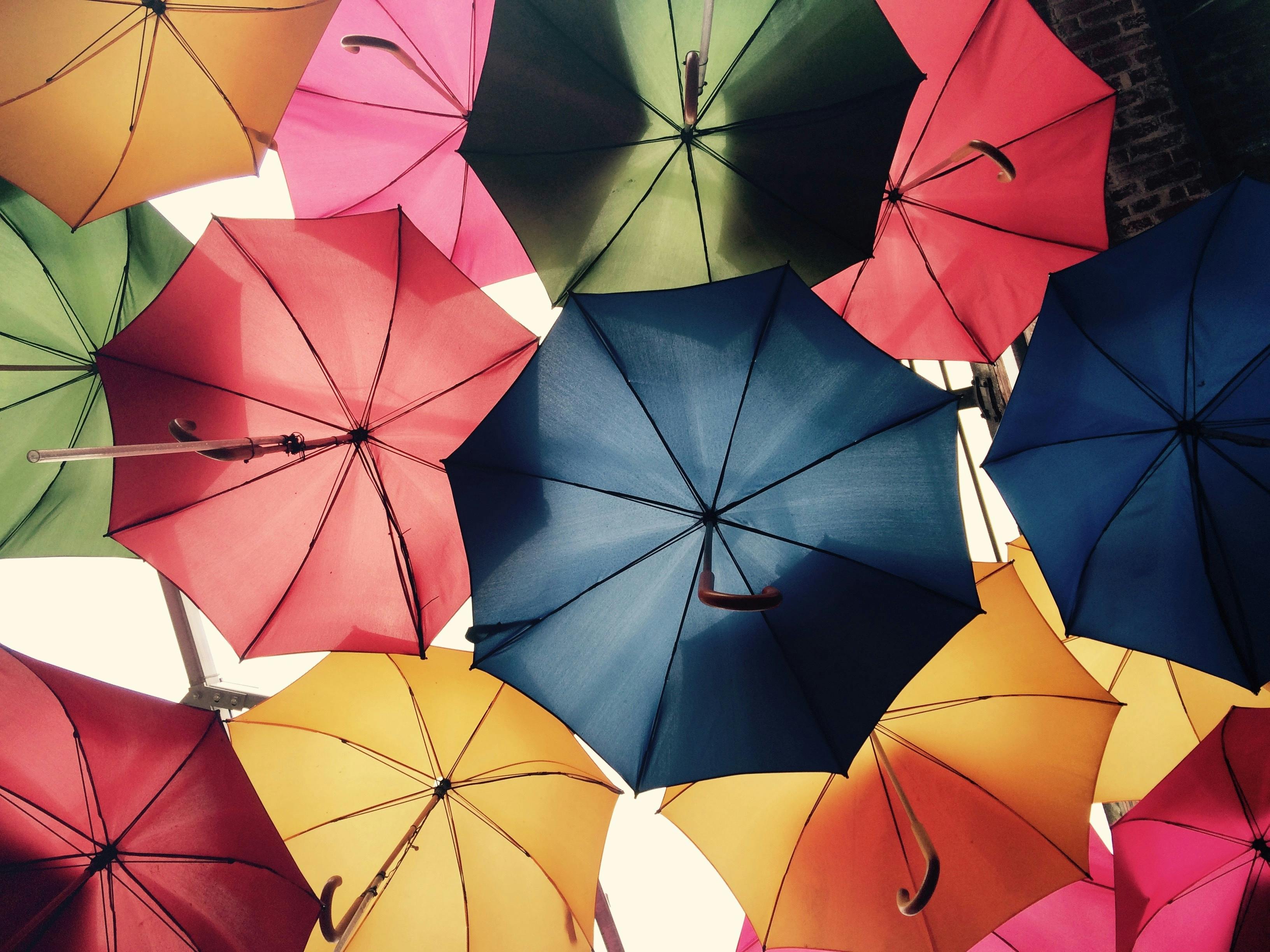 Colourful umbrellas suspended overhead